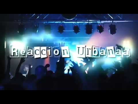 Drefquila vs Pepe grillo vs Dego BDM 2017