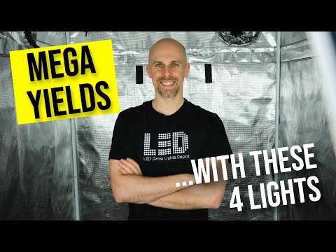 4 LED Grow Lights to DOMINATE a 5x5 Grow Space!