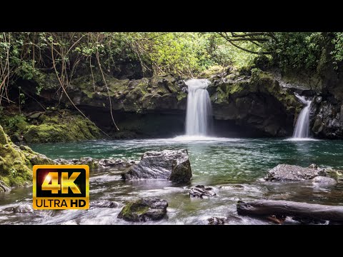 4K Video Nature Sounds of a Hawaiian Waterfall, for relaxation, meditation, sleep o rstudy.