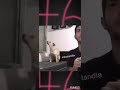 Tanzender Hund