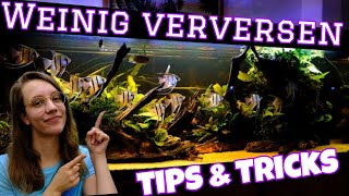 2 METER met WEINIG ONDERHOUD, Hoe doe je dat? //Nickey//