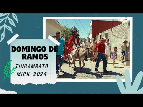 Cómo se vive el domingo de ramos en Tingambato Michoacán (2024)
