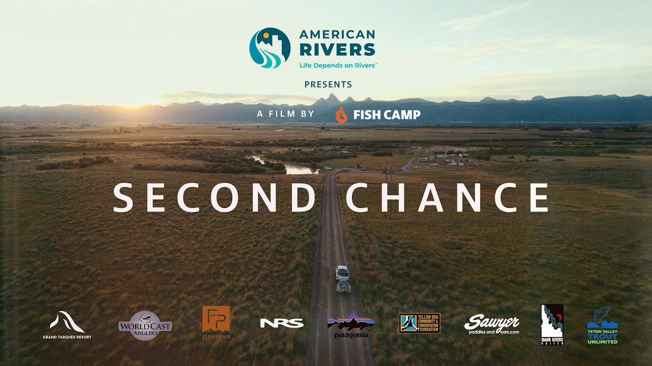 Second Chance thumbnail