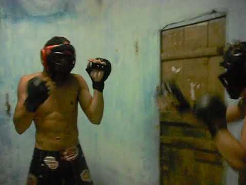 Queixo de tamanco vs Bananinha Loira