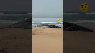 Exploding humpback whale on beach 🐳😱