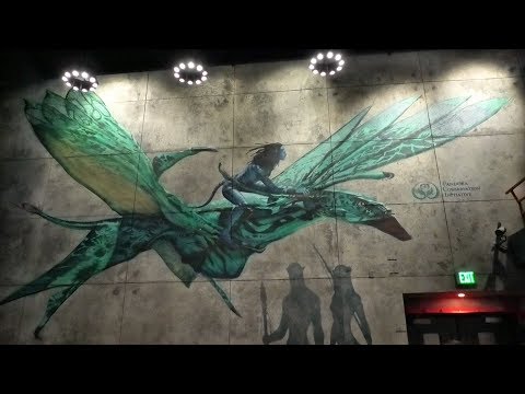 Avatar Flight of Passage Animal Kingdom Orlando (Full Ride, Queue and Full Pre-Shows)