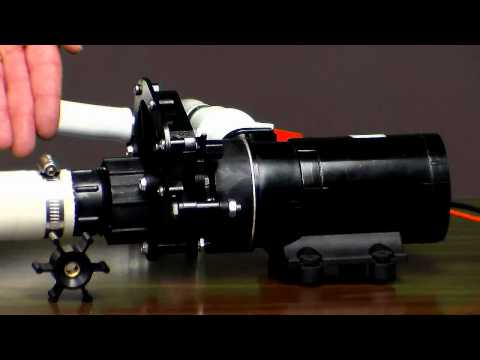 Macerator Pump with Wastewater Valve Boat Supply Store
