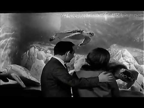 Greetje Kauffeld & Paul Kuhn - Jeden Tag, da lieb ich dich ein kleines bisschen mehr 1965