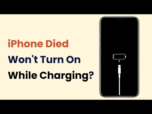 iphone died won't turn on while charging