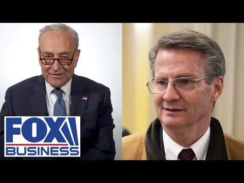 ‘I think Schumer’s days are numbered’ in politics, Tim Burchett says