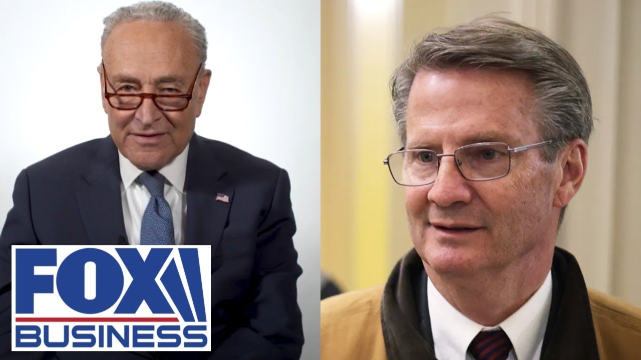 ‘I think Schumer’s days are numbered’ in politics, Tim Burchett says