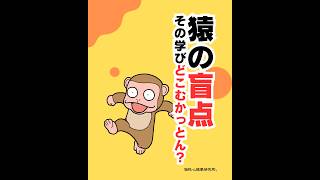 猿の盲点〜その学びどこむかっとん？〜（20260505） #ストレスフリー #自己実現  #個性心理學