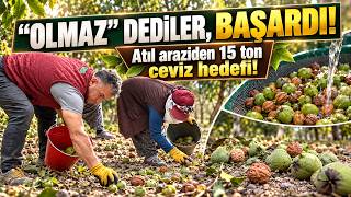 Atıl Arazisi Olanlara Örnek Oldu: Ceviz Bahçesi İçin Danışmaya Geliyorlar