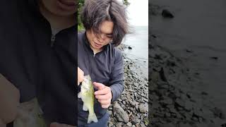 小バスで満足するマン　2025 10/4 #バス釣り