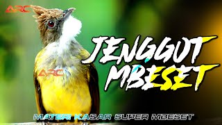 Download lagu CUCAK JENGGOT GACOR MEWAH SUPER MBESET | AUDIO JERNIH KUALITAS HD mp3 Download lagu CUCAK JENGGOT GACOR MEWAH SUPER MBESET | AUDIO JERNIH KUALITAS HD mp3