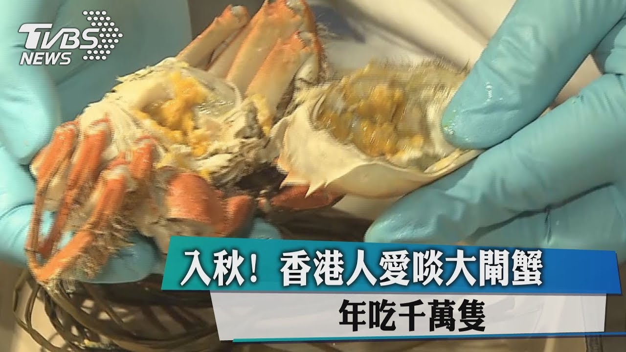 入秋!香港人愛啖大閘蟹 年吃千萬隻