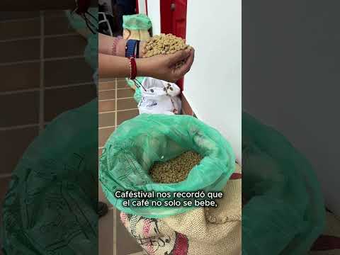 ☕ En Fredonia todo olía a café, a historia y a orgullo.