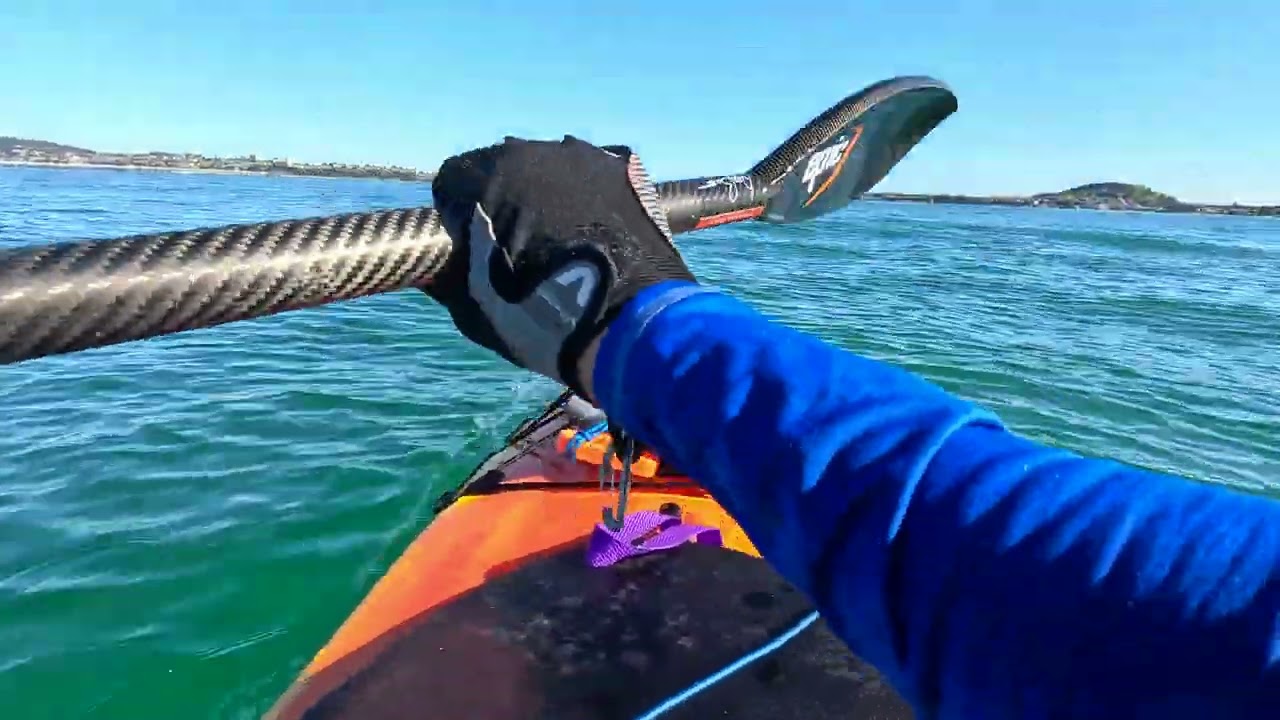 Fun swells!