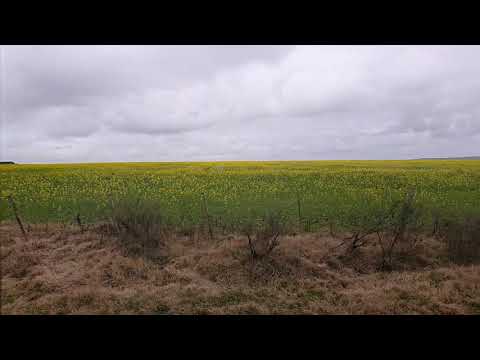 lavalleja - Aramendia