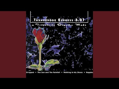 The Sun and the Rainfall