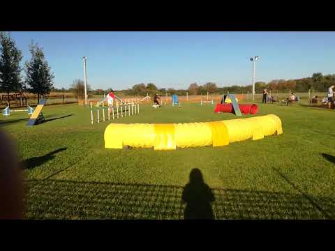 2018.09.30.Kraft A1 agility hibátlan 1. hely