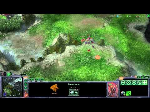 (HD877) Jjakji coach Thud - Heart of the Swarm [FR]