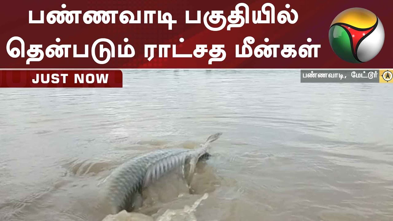 Kendai Keluthi Song Lyrics | Panam Pagai Paasam | Vani Jairam