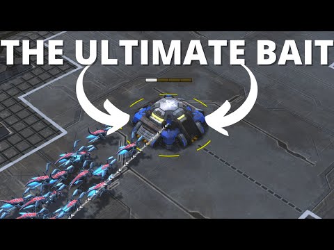 This Build Variation is NUTS - Penguin Brothers to Grandmaster