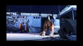 Don't Throw That Dog a Bone by Jeni Carr