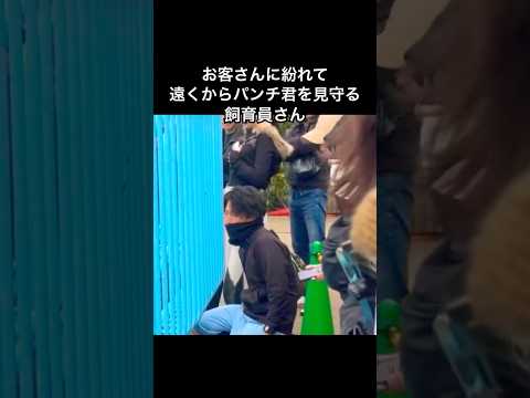 お客さんに紛れて遠くから猿のパンチ君を見守る飼育員さん(市川市動植物園)