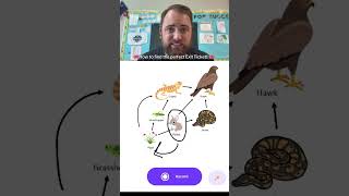 Me pretending to ‘analyze’ exit tickets while Snorkl does all the work 😎📉  #edtech #teacher #school
