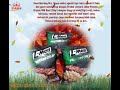 L Men Protein Crunch