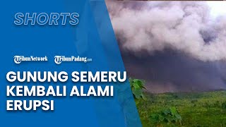 Setelah Satu Tahun, Gunung Semeru kembali Erupsi, Asap Putih Kelabu Mengarah ke Timur Laut