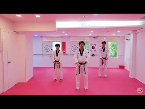 [Week 2] Green Tip Pattern: Steps 7-12