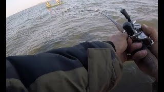 На что лучше всего ловить таранку