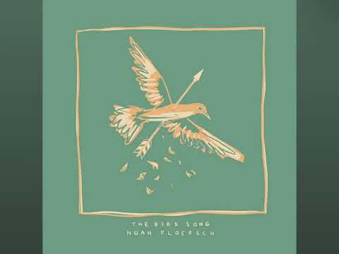 The bird song for 1 hour