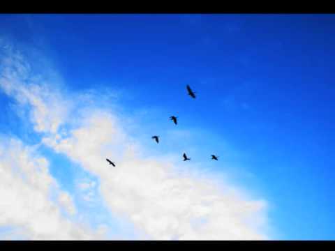 Nodesha / Will He Ever Love Me Back