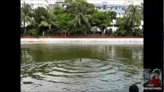 Rasigane En Arugil Vaa - Swing Swing Swing Unadhu Oonjal Naan Paadal