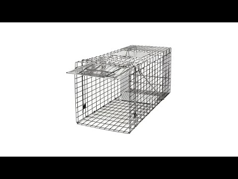 JungleA Animal Trap 32 Inches Cage Trap 1-Iron Door Foldable Live Catch Cage Catch Release Humane R
