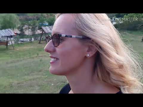 Pensiunea Stejarii Fond de vânătoare