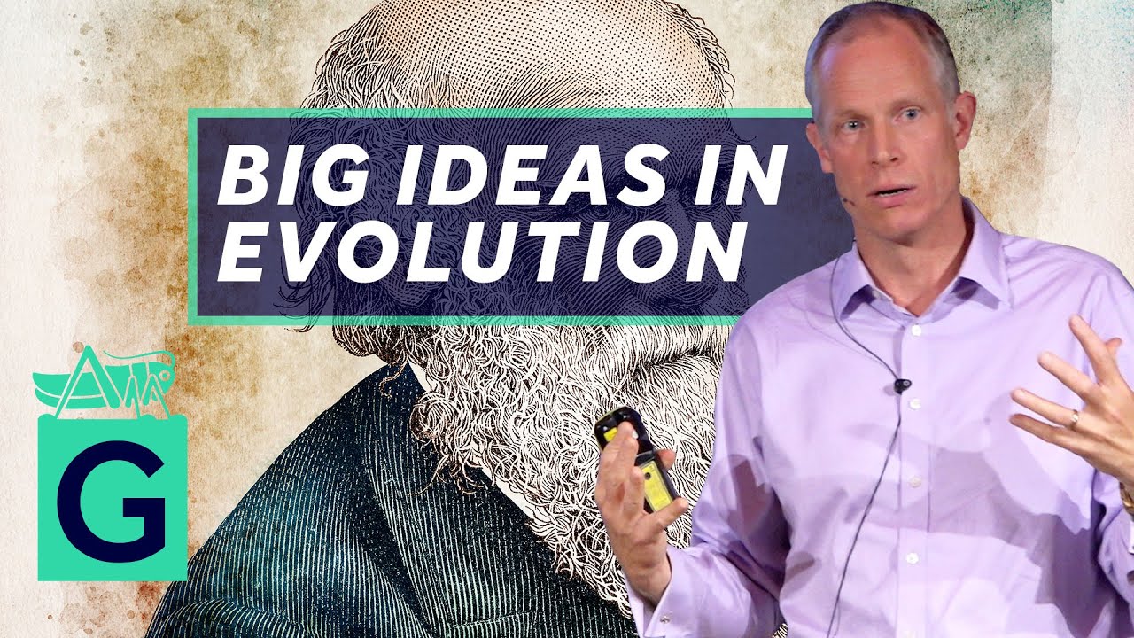 A Small History of Big Evolutionary Ideas - Robin May