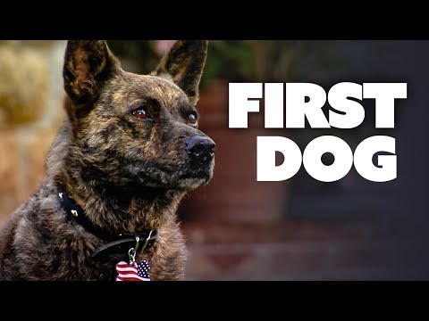 First Dog – Zurück nach Hause (ganze FAMILIENFILME auf Deutsch kostenlos streamen, Abenteuerfilm)