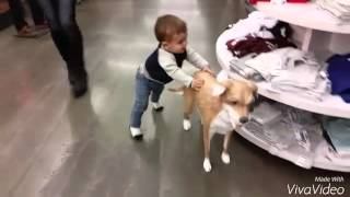 Kid tries to steal dog mannequin from Old Navy