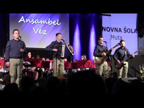 Ansambel VEZ - Metuljček zlat