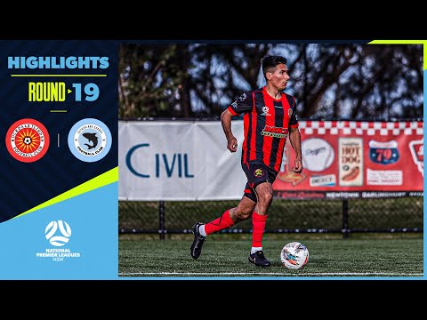 NPL NSW Men's Round 19 – Rockdale Ilinden v Sutherland Sharks