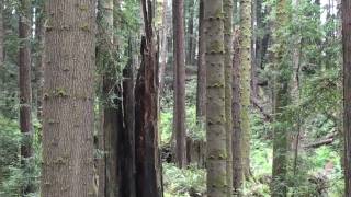 Quiet Village -- Keep on Rolling