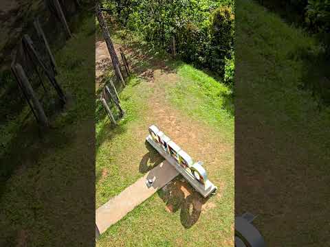 Reserva Forestal El Montuoso, Chepo, Provincia de Herrera, Las Minas, Panama