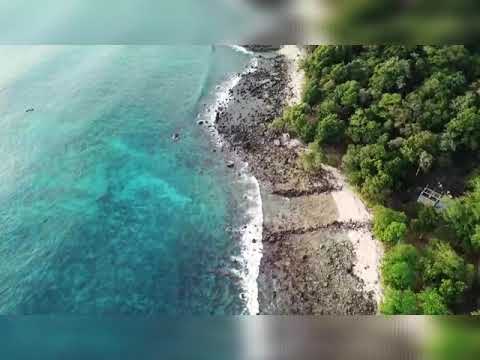 NATURE BEAUTY NEAR BEACHES