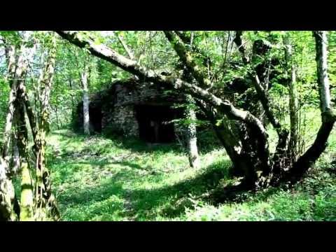 VERDUN 1.WK, WWI Battlefield today *  Ort des Grauens * Fumin I-Werk-R1 nähe * near Fort Vaux 2011