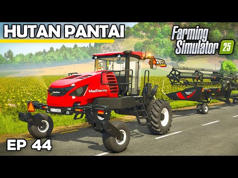 BIG PLAN FOR MY GRAIN | Farming Simulator 25 - Hutan Pantai | Episode 44